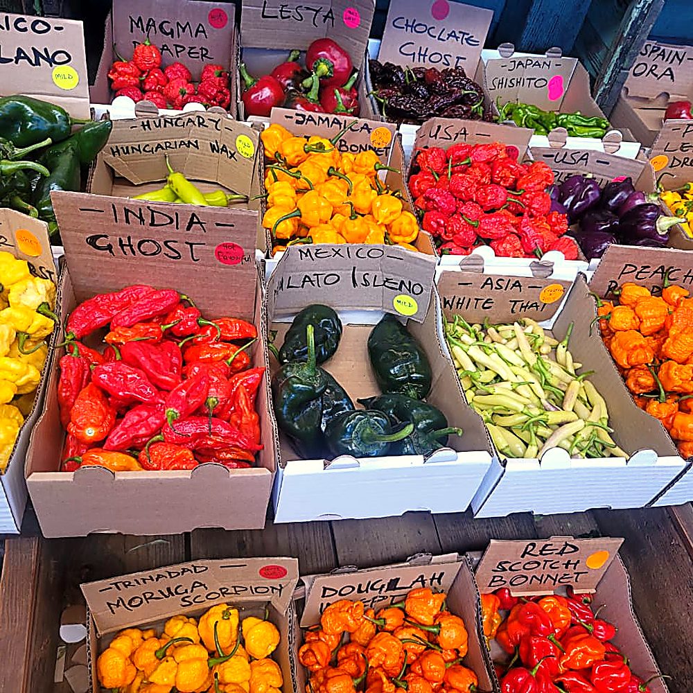 Rows of chillies from every corner of the world at the Oranjezicht market