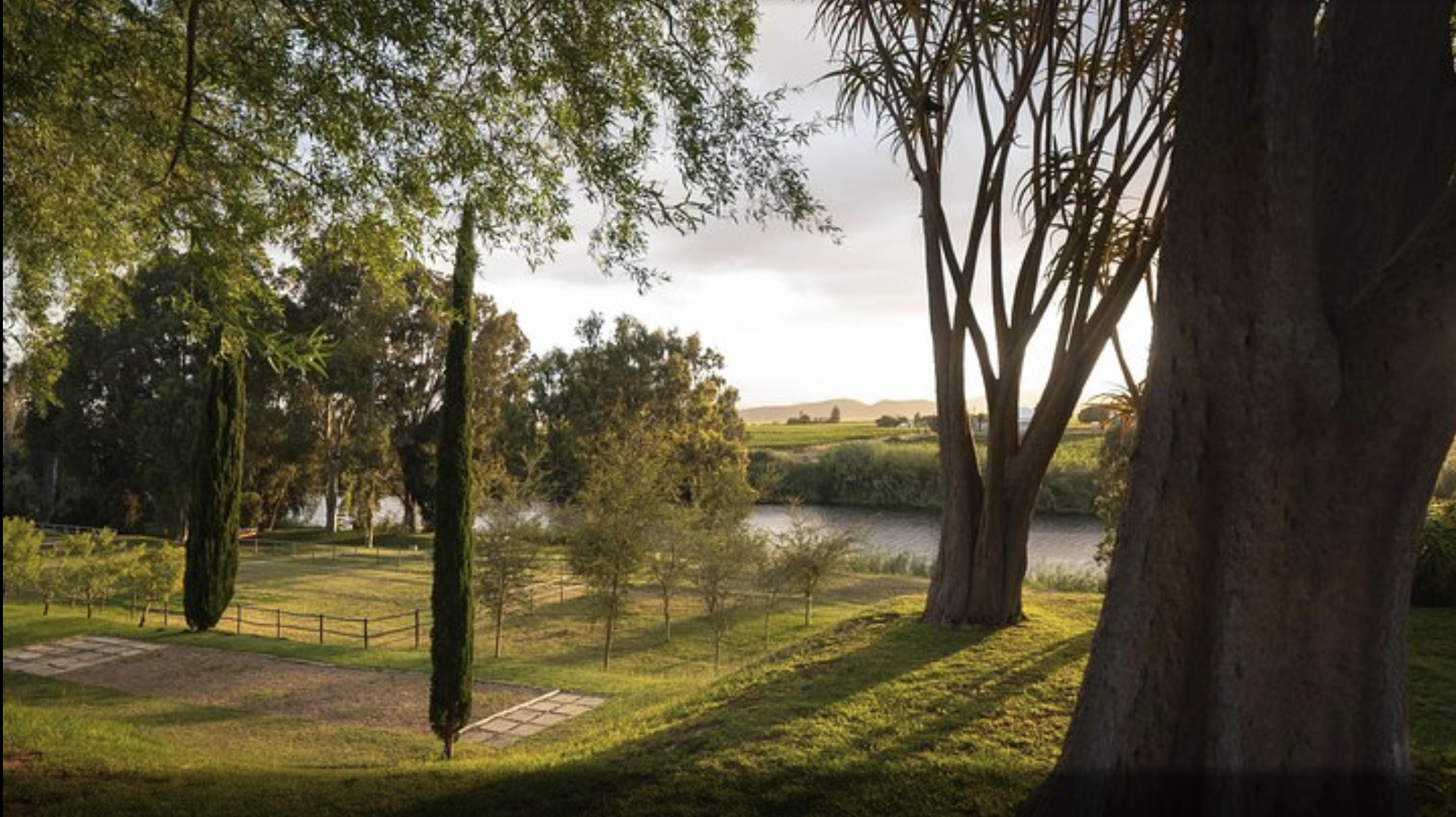 Silverthorn, Robertson